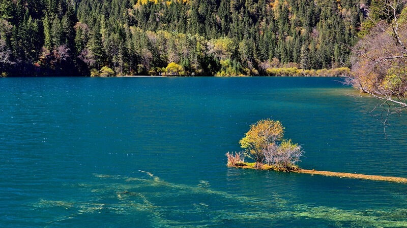 Lago de Bambú de Jiuzhaigou