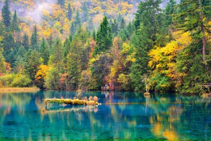 Lago de las cinco flores de Jiuzhaigou