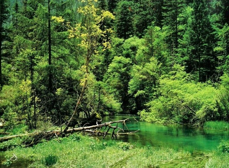 What to see in Jiuzhaigou: admire the beautiful natural scenery - CHINAHORA