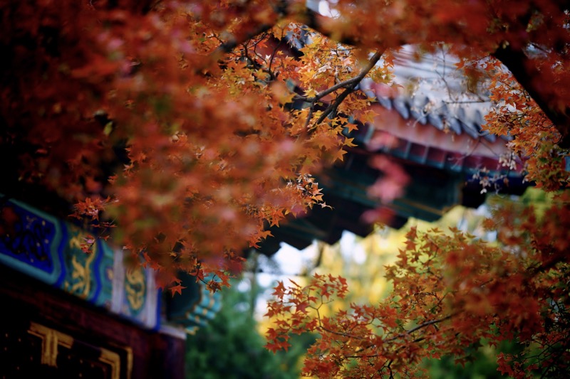 Parque Xiangshan