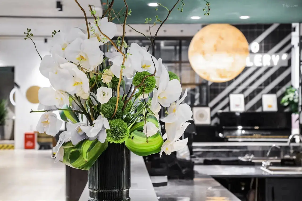 Dónde alojarse en Shenzhen: Guía completa con 10 hoteles recomendados