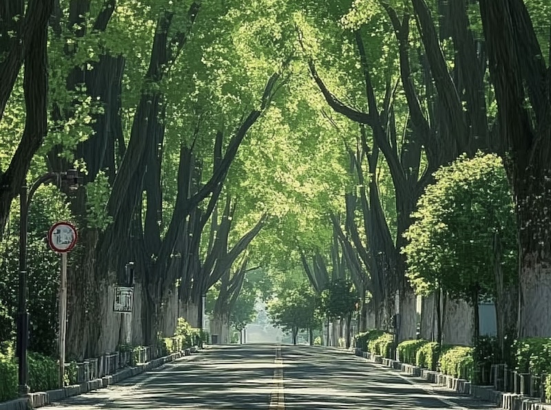 Nanjing Wutong Avenue
